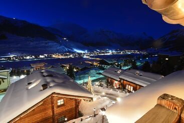 Park Chalet Village