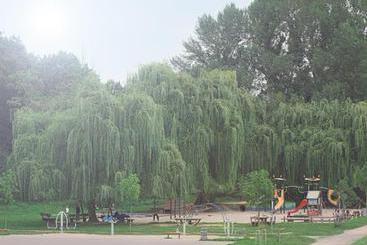 Отель Rheinkrone