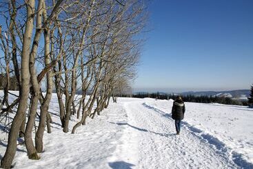 Avital Resort
