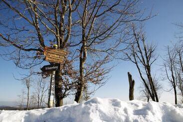 Avital Resort