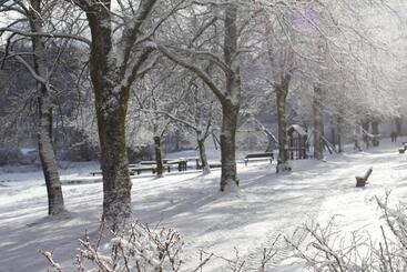 酒店 Haus Am Karpfenteich
