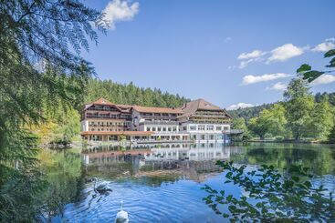 Langenwaldsee - Freudenstadt