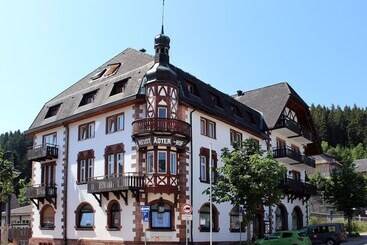 Neustädter Hof - Titisee Neustadt