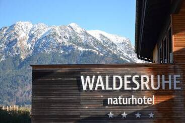 Naturhotel Café Waldesruhe - اوبرستدورف