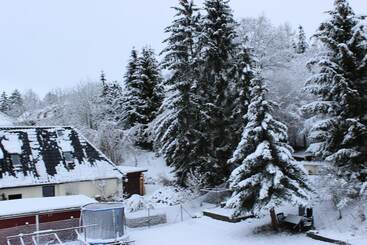 Gasthof Und Pension Frankenthal   Garni