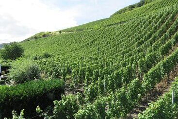 ホテル Zur Traube