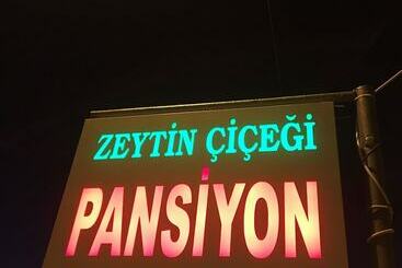 تختخواب و صبحانه Zeytin Cicegi Pansiyon