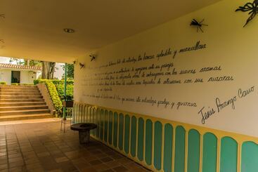هتل Eden Parque Del Cafe