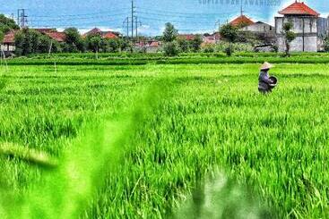 هاستل Bali Eco Living Yoga Healing Meditation And Retreat Center