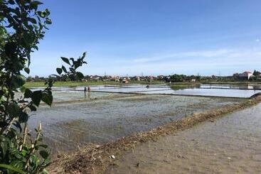 هاستل Bali Eco Living Yoga Healing Meditation And Retreat Center