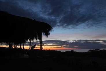 Tiki Surf House   Hostel