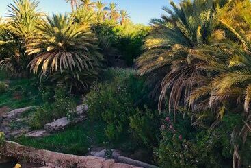 تختخواب و صبحانه Kasbah El Mehdaoui