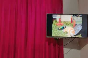 Hostal Bulevar
