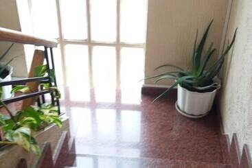 Hostal Restaurante Delfin