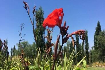 בית מלון כפרי Finca La Escondida San Rafael