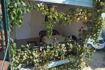 پانسیون Guest House Seagull