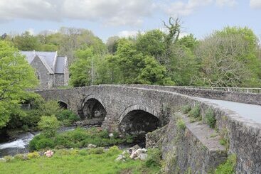 Celynfa