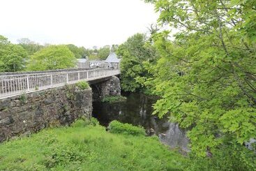 Celynfa
