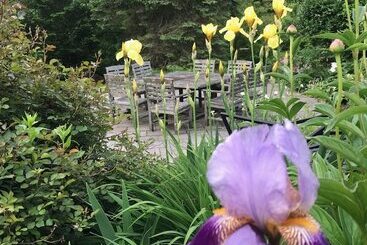 Howarth House B&b