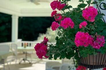 Howarth House B&b