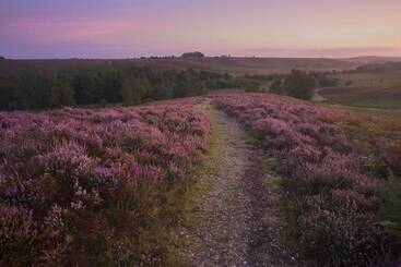 茅舍 Somerville Coach House 1