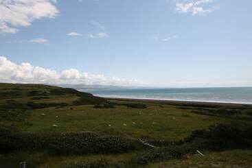 Cae'r Dyni