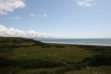 Cae'r Dyni