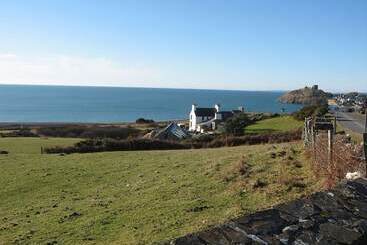 Cae'r Dyni