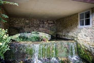 Mill Race