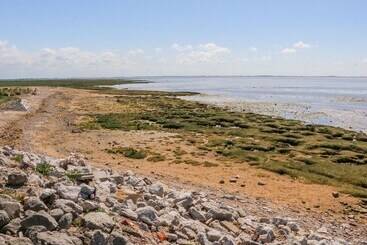 Shorefields Two