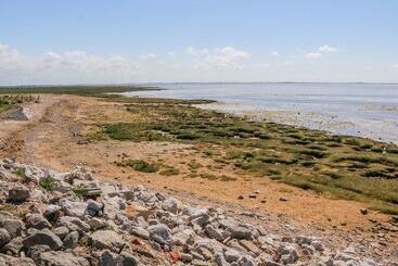 Shorefields Two