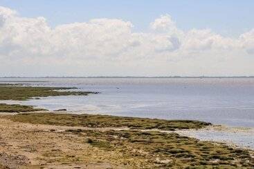 Shorefields Two