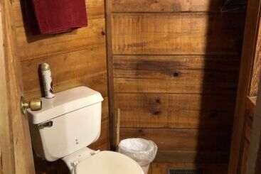 A Cabin In The Woods