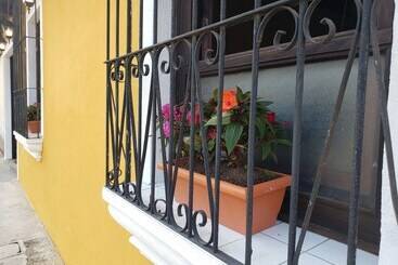 هاستل Parrot House
