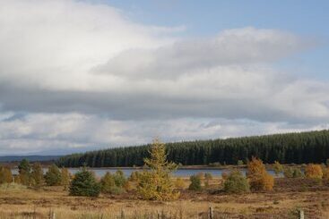 Burnside Lodge