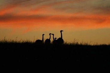 هتل Estancia Anastasio By Folk
