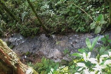هتل Rio Celeste Family Lodge