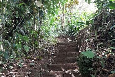 هتل Rio Celeste Family Lodge