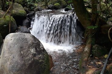 هتل Rio Celeste Family Lodge