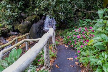 هتل Rio Celeste Family Lodge