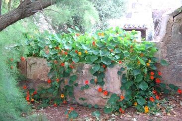 هتل روستایی Agroturismo Finca Sant Blai