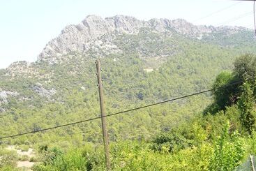 Waldvilla