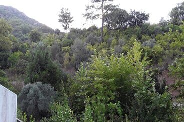 Waldvilla