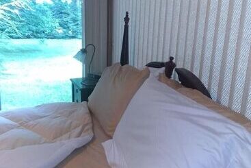تختخواب و صبحانه Tanglewood Suites