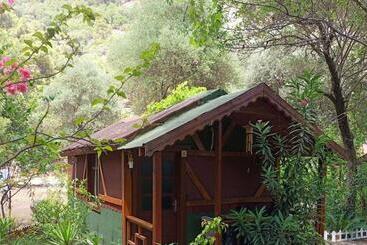 Canario Bungalows Pension