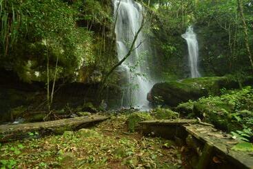 هتل Coati Lodge