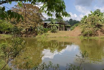 پانسیون Albergue La Laguna Corcovado Park
