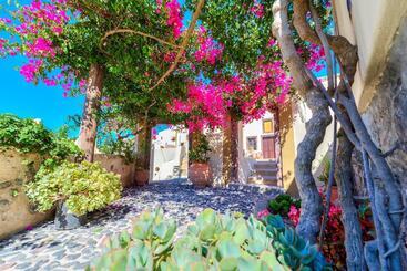 پانسیون Guest House Kalitsi