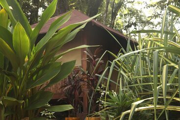 Tiki Lodge Bar & Restaurant   Hostel