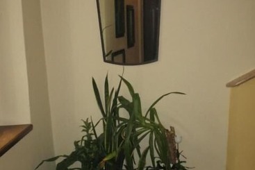 A Casa Di Andrea Bed & Breakfast